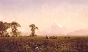 Albert Bierstadt Elk Grazing in the Wind River Country painting